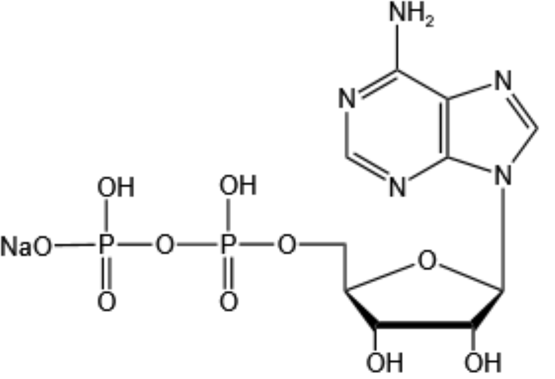 ADENOSINE5'-MONOPHOSPHATESODIUMSALT ≥98%