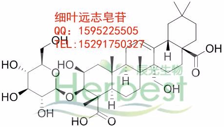 (2,3)-3-(-D-Glucopyranosyloxy)-2,27-dihydroxyolean-12-ene-23,2 8-dioic acid 98%