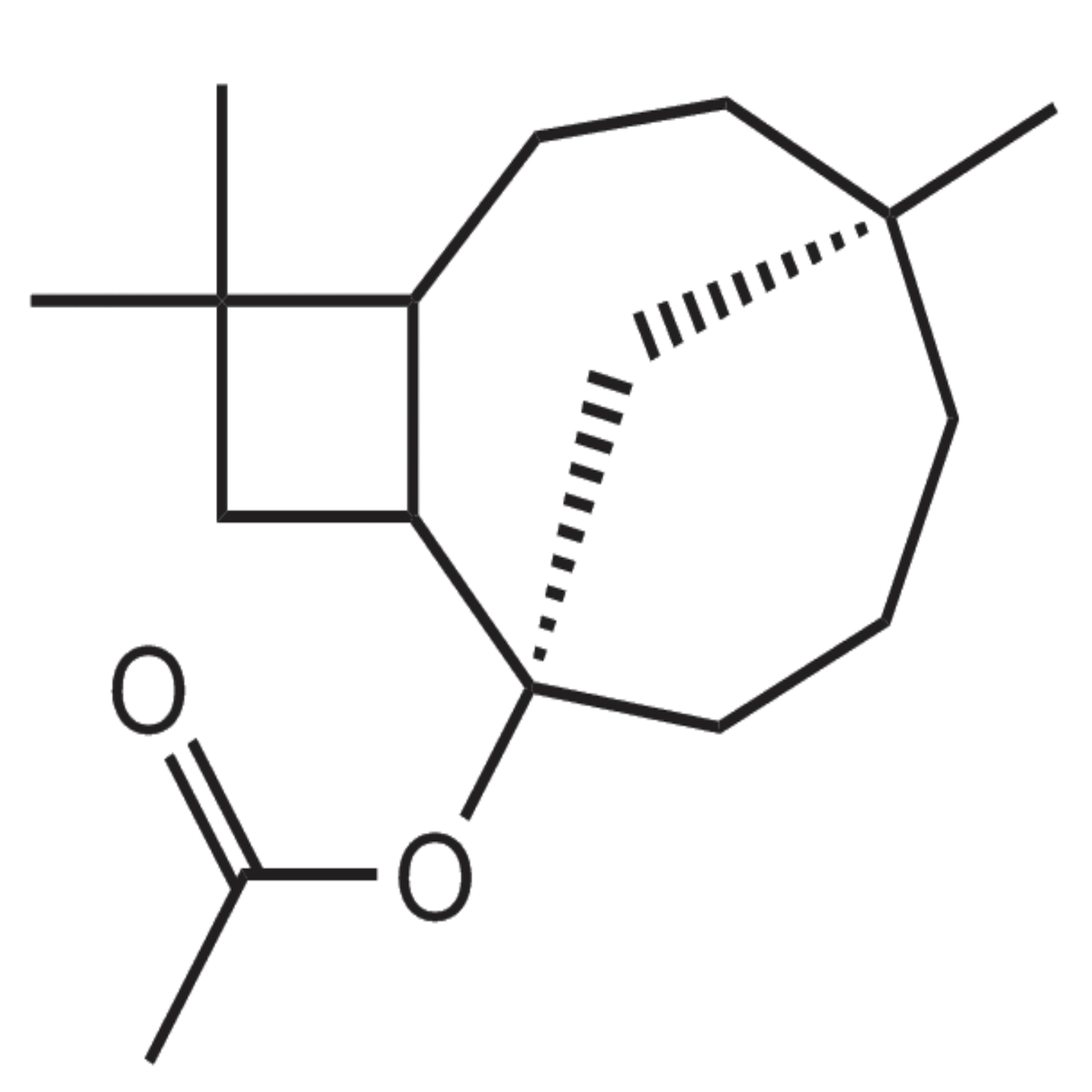 Caryophyllene Acetate (CL-604) 