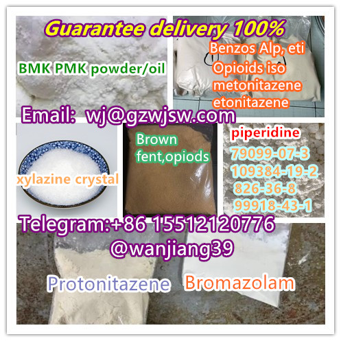 wj(at)gzwjsw(dot)com CAS 593-51-1 methylamine hcl 1451-82-7 79099-07-3 109384-19-2 piperidine PMK bmk 99.99%