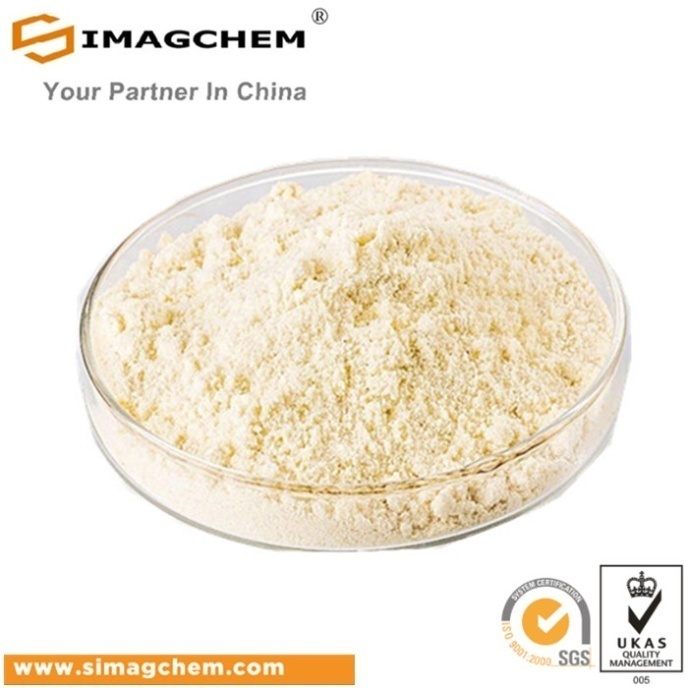 2,5-Dibromo-3-Methylpyridine 99%