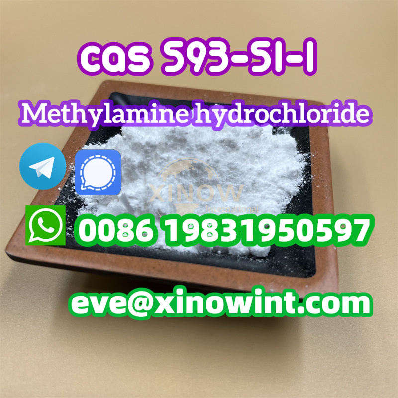Chemical Methylamine hydrochloride CAS 593-51-1 99