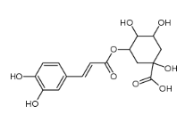 Chlorogenic Acid 98%