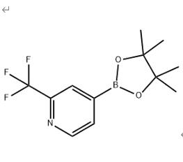 4-(4,4,5,5-四甲基-1,3,2-二氧硼烷)-2-三氟甲基吡啶