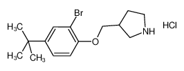 2-Bromo-4-(tert-butyl)phenyl 3-pyrrolidinylmethyl-ether hydrochloride 1219948-97-6