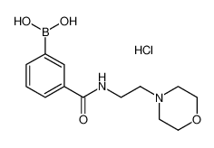 3-[2-(4-吗啉基)乙基氨甲酰基]苯硼酸盐酸盐