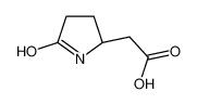 2-[(2S)-5-oxopyrrolidin-2-yl]acetic acid 61884-75-1