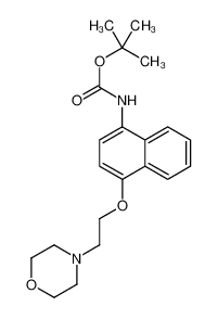 tert-butyl N-[4-(2-morpholin-4-ylethoxy)naphthalen-1-yl]carbamate 285984-35-2