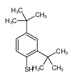 2,4-二叔丁基苯硫酚