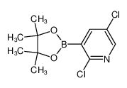 1073371-98-8 structure, C11H14BCl2NO2