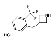 82622-46-6 structure