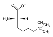 23284-33-5 Nε,Nε,Nε-Trimethyl-L-lysin