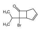 58407-15-1 structure, C10H13BrO