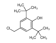 2,6-ditert-butyl-4-(chloromethyl)phenol 955-01-1