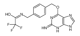 O6-[4-(Trifluoroacetamidomethyl)benzyl]guanine 680622-70-2