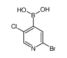 2-溴-5-氯吡啶-4-硼酸