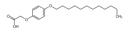 55205-50-0 structure