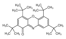 55429-04-4 structure