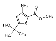 3-氨基-5-叔丁基噻吩-2-羧酸甲酯