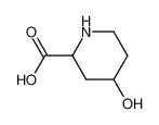 4-羟基-2-哌啶甲酸