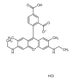 5-羧基玫瑰精-6G