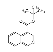 1351233-89-0 isoquinoline-4-carboxylic acid t-butyl ester