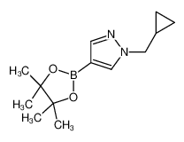 1-(环丙基甲基)-4-(4,4,5,5-四甲基-1,3,2-二噁硼烷-2-基)-1H-吡唑