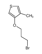 3-(3-bromopropoxy)-4-methylthiophene