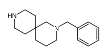 2-(苯基甲基)-2,9-二氮杂螺[5.5]十一烷