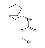 ethyl N-(3-bicyclo[2.2.1]heptanyl)carbamate 74039-10-4