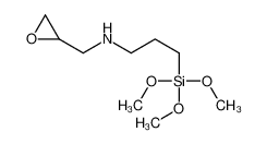 498579-33-2 structure, C9H21NO4Si