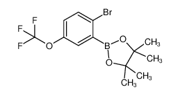 1256781-66-4 structure, C13H15BBrF3O3