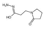 3-(2-oxopyrrolidin-1-yl)propanehydrazide 70821-52-2
