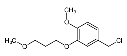 1179062-77-1 4-chloromethyl-1-methoxy-2-(3-methoxypropoxy)-benzene