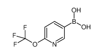 6-(三氟甲氧基)吡啶-3-基]硼酸