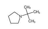 15185-01-0 1-叔丁基吡咯烷