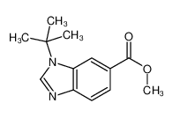 methyl 3-tert-butylbenzimidazole-5-carboxylate 1199773-49-3