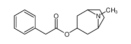 (8-methyl-8-azabicyclo[3.2.1]octan-3-yl) 2-phenylacetate 1690-22-8