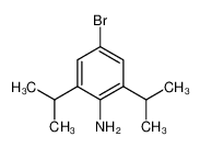 80058-84-0 structure, C12H18BrN