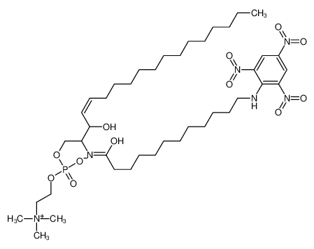 TNPAL-Sphingomyelin 117985-56-5