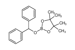 1373393-16-8 structure, C19H23BO3