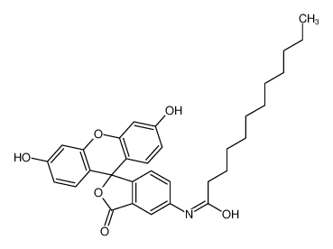 N-(3',6'-二羟基-3-氧代螺[2-苯并呋喃-1,9'-氧杂蒽]-5-基)十二碳酰胺