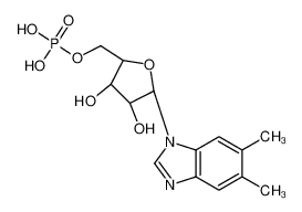 α-ribazole 5'-phosphate 975-91-7