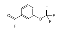 3-(Trifluoromethoxy)benzoyl fluoride 658-90-2