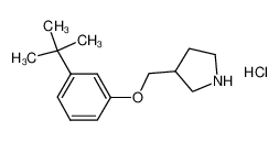 3-(tert-Butyl)phenyl 3-pyrrolidinylmethyl ether hydrochloride