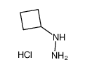 1-环丁基肼盐酸盐