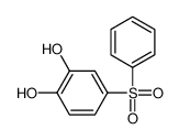 60048-84-2 4-(benzenesulfonyl)benzene-1,2-diol