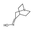 3-奎宁环酮肟