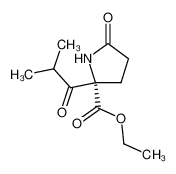 878011-74-6 (S)-ethyl 2-isobutyryl-5-oxopyrrolidine-2-carboxylate