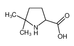 5,5-二甲基脯氨酸